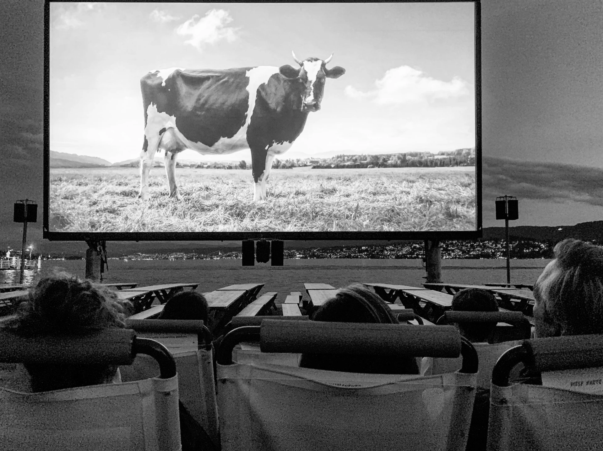 An audience watching a film at an outdoor cinema